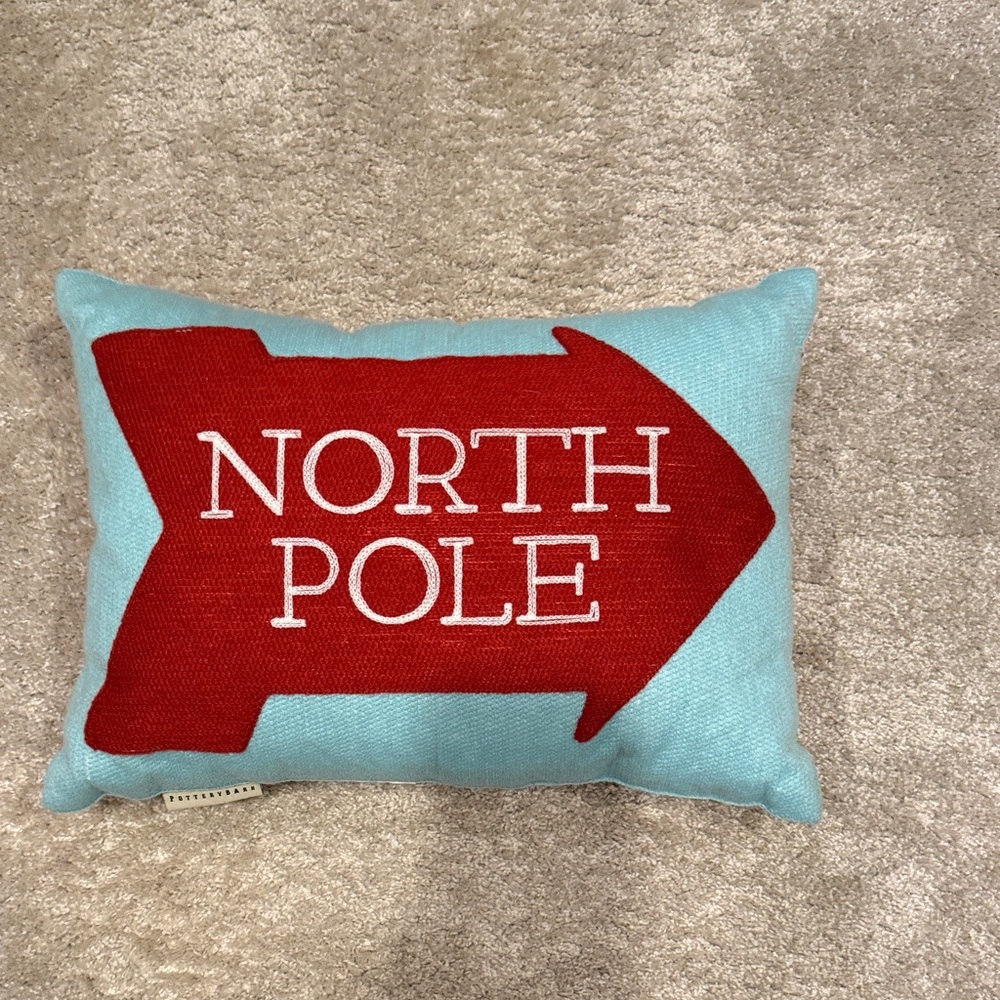 Potter Barn Xmas pillow
